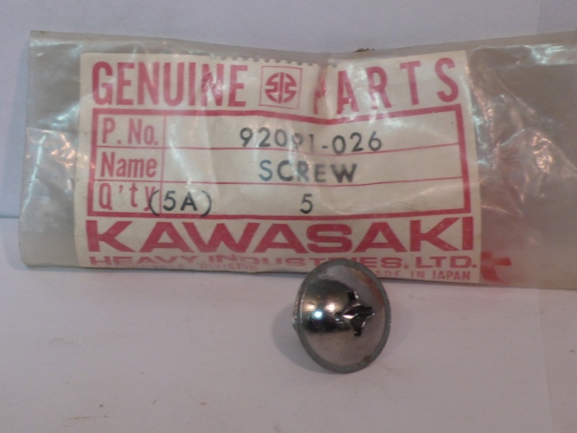 NUMBER PLATE SCREW