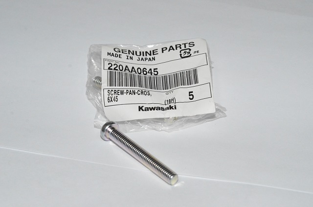 (image for) SCREW 6 BY 45