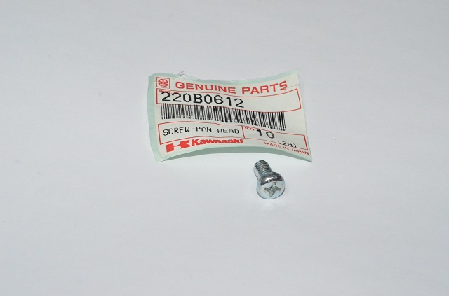 (image for) SCREW 6 BY 12