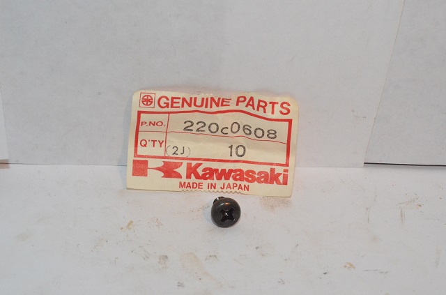 (image for) SCREW 6 BY 8