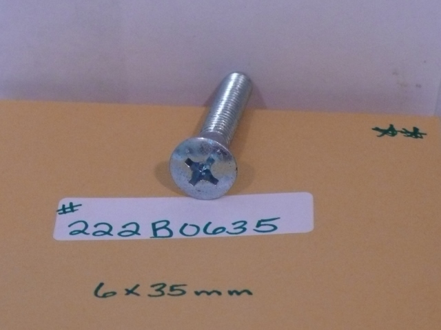 OVAL SLOTTED SCREW 6 by 35