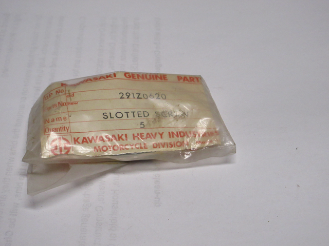 (image for) SLOTTED SCREW