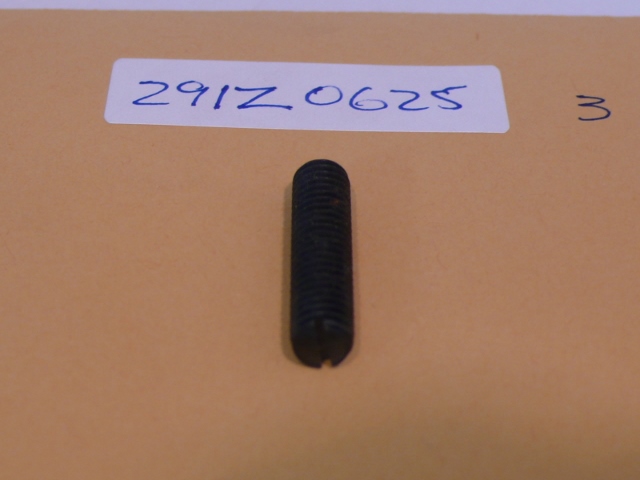 SLOTTED SCREW